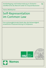 Self-Representation im Common Law - Hanna Mühlbacher