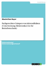 Fachgerechtes Crimpen von Aderendhülsen (Unterweisung Elektroniker/-in für Betriebstechnik) -  Maximilian Bayer
