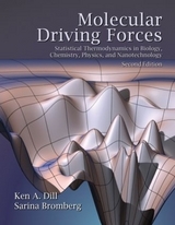 Molecular Driving Forces - Dill, Ken; Bromberg, Sarina