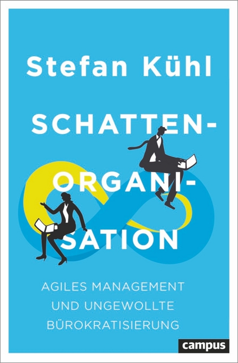 Schattenorganisation -  Stefan Kühl