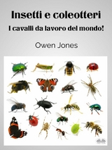 Insetti E Coleotteri - Owen Jones