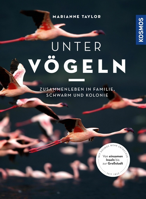 Unter Vögeln - Marianne Taylor