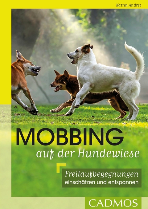 Mobbing auf der Hundwiese -  Katrin Andres