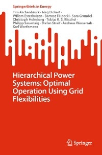 Hierarchical Power Systems: Optimal Operation Using Grid Flexibilities - Tim Aschenbruck, Jörg Dickert, Willem Esterhuizen, Bartosz Filipecki, Sara Grundel, Christoph Helmberg, Tobias K. S. Ritschel, Philipp Sauerteig, Stefan Streif, Andreas Wasserrab, Karl Worthmann