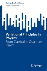 Variational Principles in Physics -  Tamás Sándor Biró