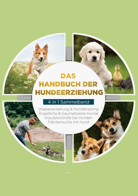 Das Handbuch der Hundeerziehung - 4 in 1 Sammelband - Alexander Gietzen, Sacha Bergmann, Inga Dahlmann, Maria Lehmhuis