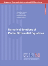 Numerical Solutions of Partial Differential Equations - Silvia Bertoluzza, Silvia Falletta, Giovanni Russo, Chi-Wang Shu