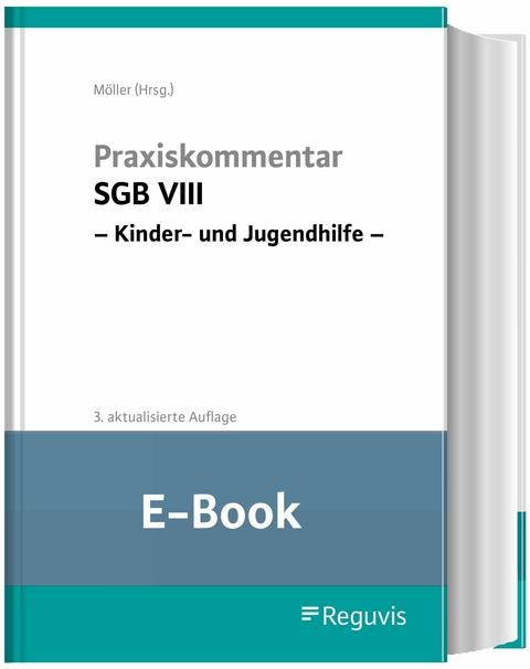 Praxiskommentar SGB VIII - Kinder- und Jugendhilfe (E-Book) - 