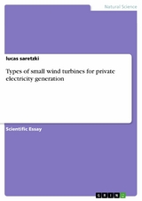 Types of small wind turbines for private electricity generation -  Lucas Saretzki
