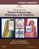 Student Workbook for Illustrated Dental Embryology, Histology and Anatomy - Bath-Balogh, Mary; Fehrenbach, Margaret J.