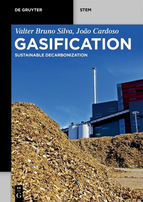 Gasification -  Valter Bruno Silva,  João Cardoso,  Antonio Chavando