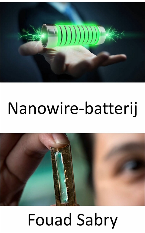 Nanowire-batterij -  Fouad Sabry