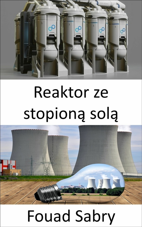 Reaktor ze stopioną solą -  Fouad Sabry