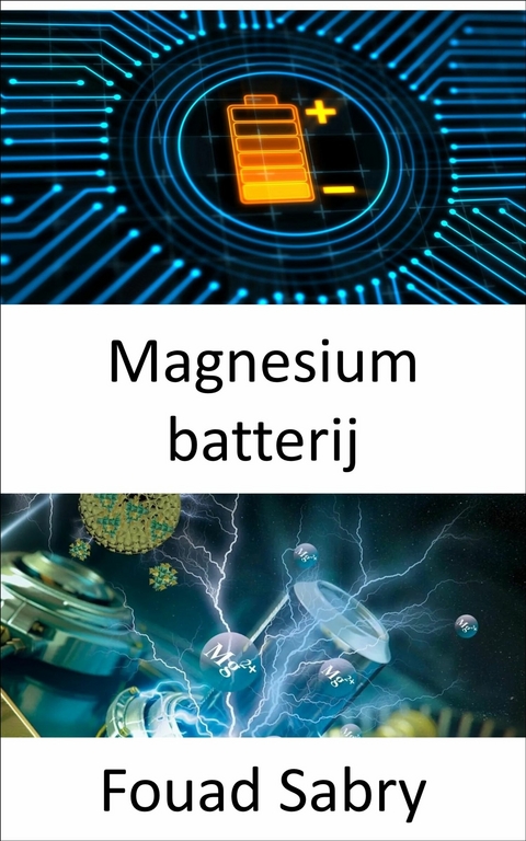 Magnesium batterij -  Fouad Sabry
