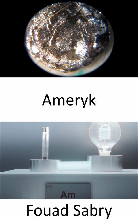 Ameryk -  Fouad Sabry