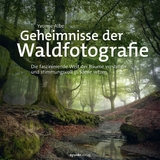 Geheimnisse der Waldfotografie -  Yvonne Albe