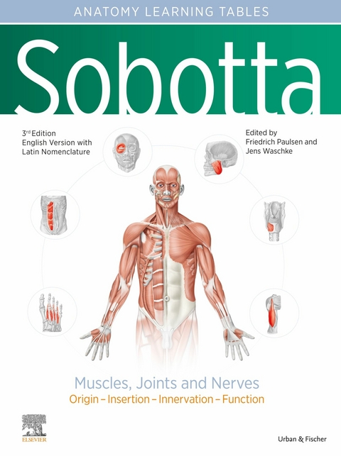 Sobotta Tables of Muscles, Joints and Nerves, English/Latin - 