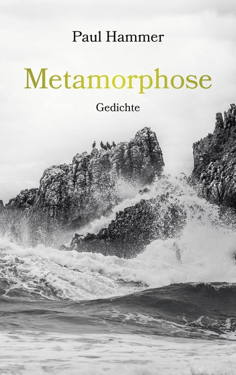 Metamorphose - Paul Hammer