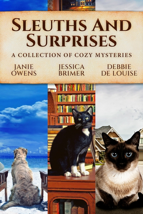 Sleuths and Surprises -  Janie Owens,  Jessica Brimer,  Debbie De Louise