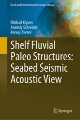 Shelf Fluvial Paleo Structures: Seabed Seismic Acoustic View - Mikhail Klyuev, Anatoly Schreider, Alexey Zverev