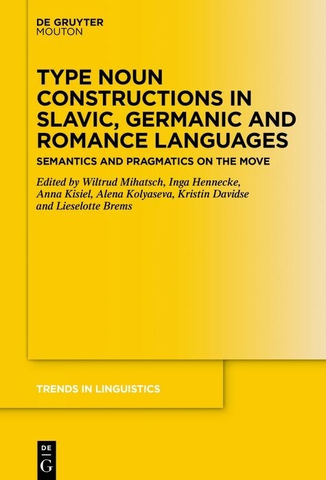 Type Noun Constructions in Slavic, Germanic and Romance Languages - 