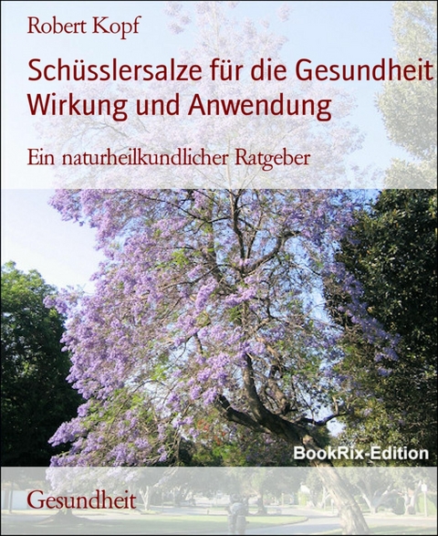 Schüsslersalze für die Gesundheit Wirkung und Anwendung - Robert Kopf