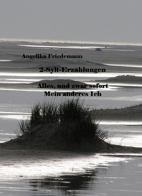 2-Sylt-Erzählungen - Angelika Friedemann