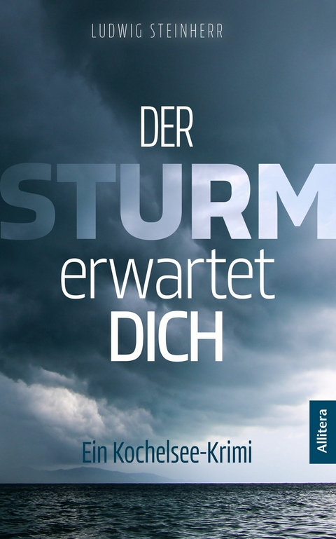 Der Sturm erwartet dich - Ludwig Steinherr