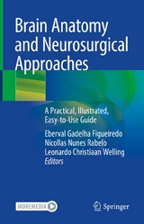 Brain Anatomy and Neurosurgical Approaches - 