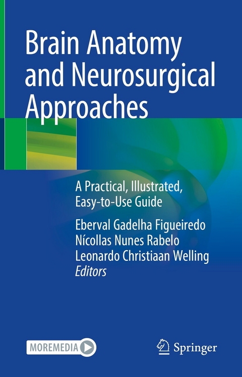 Brain Anatomy and Neurosurgical Approaches - 