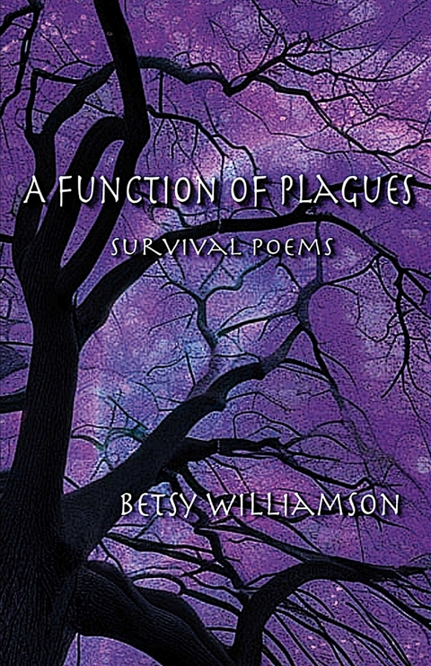Function of Plagues -  Betsy Bouldin Williamson