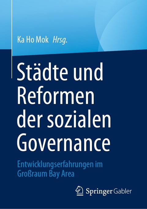 Städte und Reformen der sozialen Governance - 