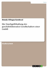 Die Durchgriffshaftung des geschäftsführenden Gesellschafters einer GmbH - Ilmeda Villegas-Sandoval