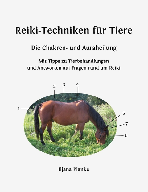 Reiki-Techniken für Tiere - Die Chakren- und Auraheilung - Iljana Planke