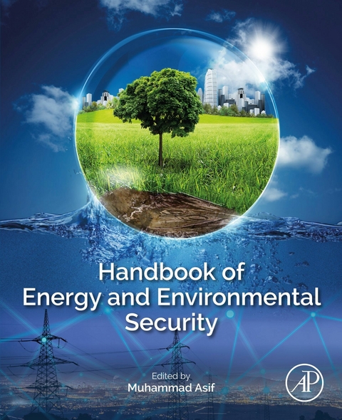 Handbook of Energy and Environmental Security - 