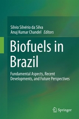 Biofuels in Brazil - 