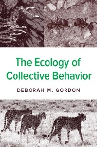Ecology of Collective Behavior -  Deborah M. Gordon