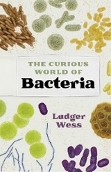 The Curious World of Bacteria - Ludger Wess