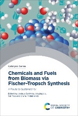 Chemicals and Fuels from Biomass via Fischer–Tropsch Synthesis - 