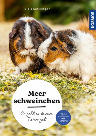 Meerschweinchen - Viola Schillinger