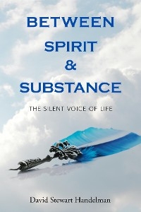 Between Spirit and Substance -  David Stewart Handelman