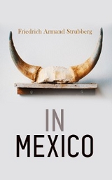 In Mexico - Friedrich Armand Strubberg