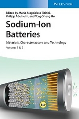 Sodium-Ion Batteries - 