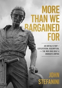 More than We Bargained For -  John Stefanini