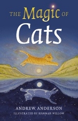 Magic of Cats -  Andrew Anderson