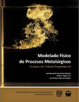 Modelado Físico de Procesos Metalúrgicos. Guiones de Trabajo Experimental - José Bernardo Hernández Morales, Alberto Ingalls Cruz, José Antonio Barrera Godínez