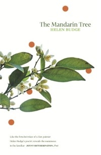 Mandarin Tree -  Helen Budge