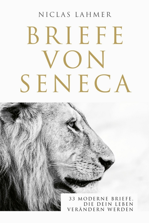 Briefe von Seneca - Niclas Lahmer