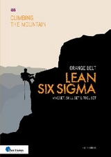 Lean Six Sigma Orange Belt - English version - ir. H. C. Theisens