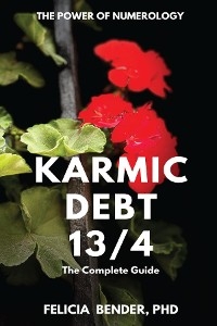 The Power of Numerology : Karmic Debt 13/4 -  Felicia Bender